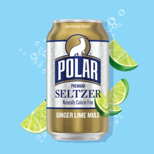 Polar® Ginger Lime Mule Flavored Seltzer Water Cans Perspective: back