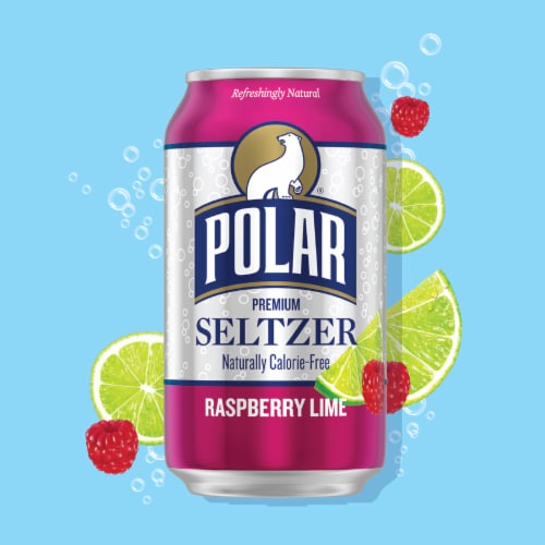 Polar® Raspberry Lime Flavored Seltzer Water Cans Perspective: back
