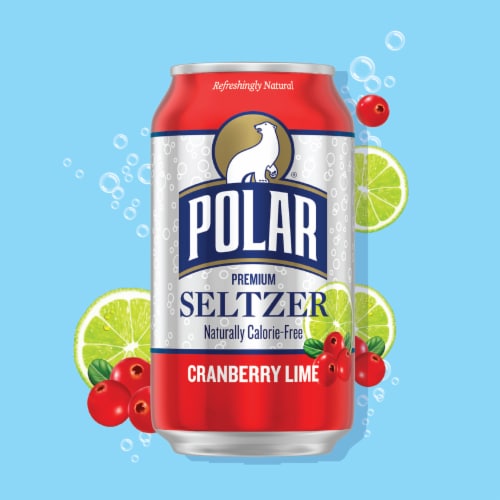 Polar Cranberry Lime Flavored Seltzer Water Cans Perspective: back