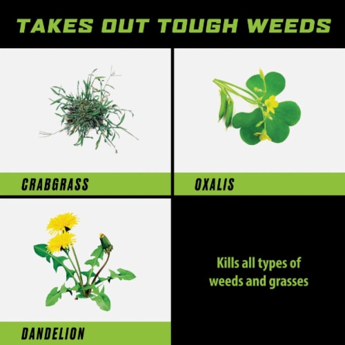 Ortho® GroundClear® Weed and Grass Killer Refill Perspective: back