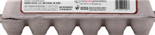 Harris Teeter™ Brown Cage Free Large Nest Eggs Perspective: back