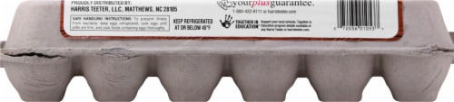Harris Teeter™ Brown Cage Free Large Nest Eggs Perspective: back