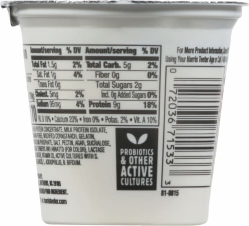 Harris Teeter™ Carbmaster® Banana Cream Pie Cultured Dairy Blend Perspective: back