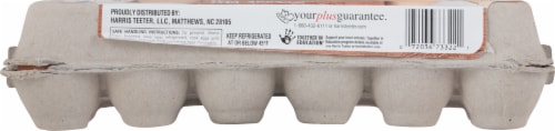 Harris Teeter™ Cage Free Extra Large Brown Nest Eggs Perspective: back
