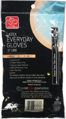 Harris Teeter Large Latex Gloves Perspective: back