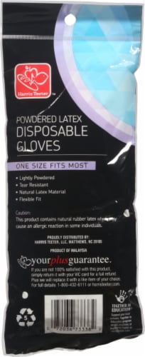 Harris Teeter Disposable Latex Gloves Perspective: back