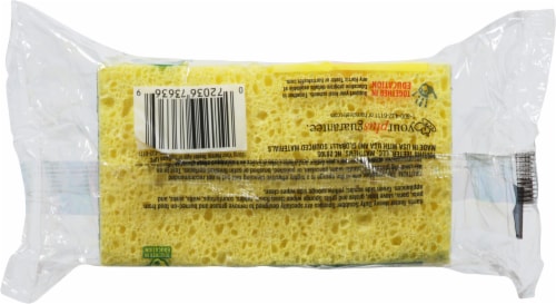 Harris Teeter™ Heavy Duty Scrubber Sponges Perspective: back