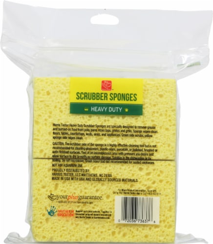 Harris Teeter™ Heavy Duty Scrubber Sponges Perspective: back