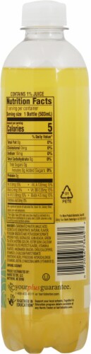 Harris Teeter™ Coconut Pineapple Flavored Sparkling Bottled Water Perspective: back