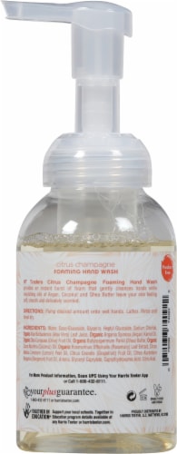 HT Traders Citrus Champagne Foaming Harnd Wash Perspective: back