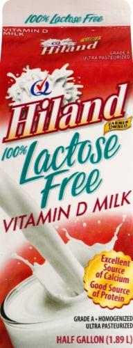 Hiland Lactose Free Vitamin D Milk Perspective: back