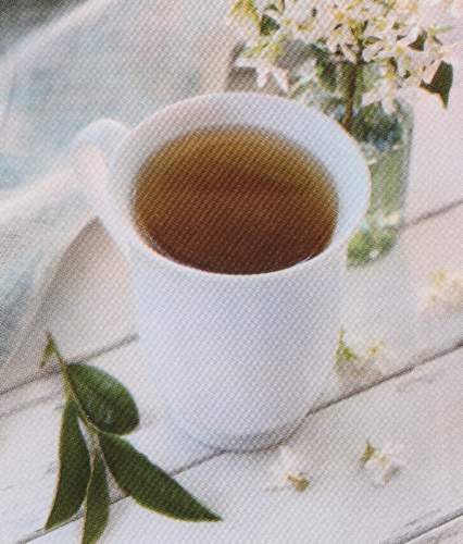 Bigelow Jasmine Green Tea Perspective: back