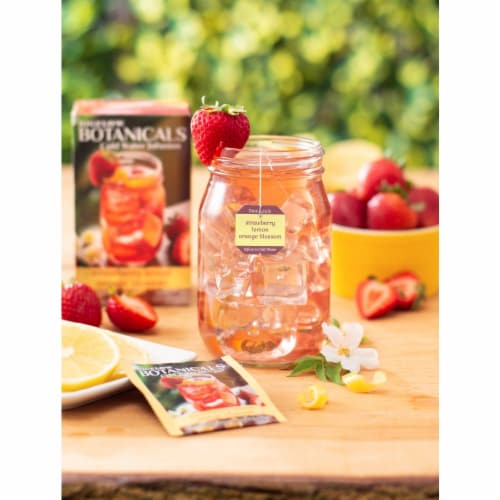 Bigelow Botanicals™ Cold Water Infusion Strawberry Lemon Orange Blossom Herbal Tea Bags Perspective: back