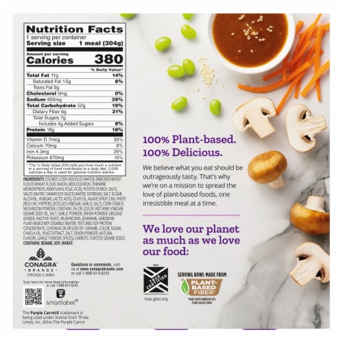Purple Carrot® Plant-Based Udon Noodle Bowl Perspective: back
