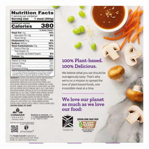 Purple Carrot® Plant-Based Udon Noodle Bowl Perspective: back