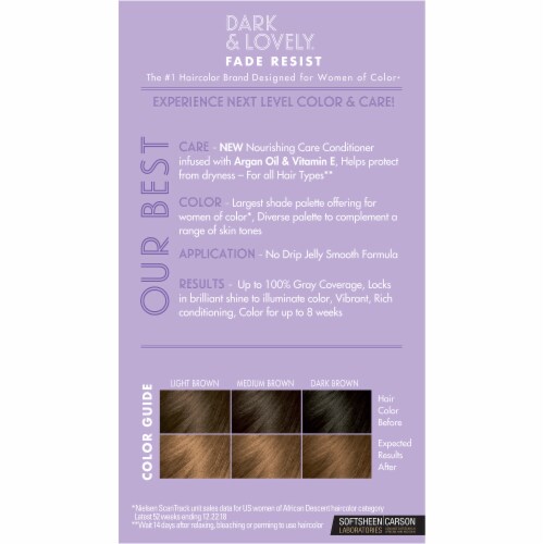 SoftSheen Carson Dark & Lovely Golden Bronze 379 Hair Color, 1 ct Fred Meyer