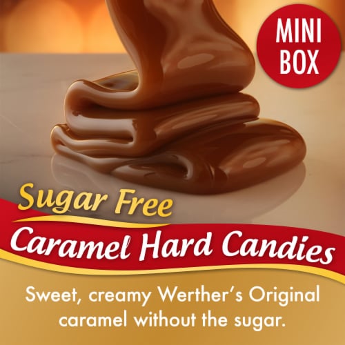 Werther's Original® Sugarfree Minis Hard Candy Perspective: back