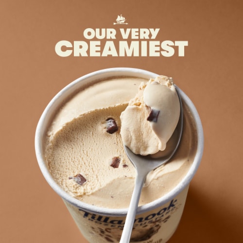 Tillamook Cold Brew Chocolate Chip Frozen Custard Dessert Perspective: back