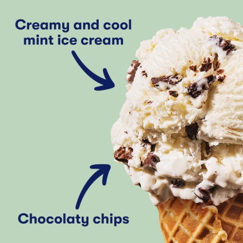 Tillamook Mint Chocolate Chip Ice Cream Perspective: back