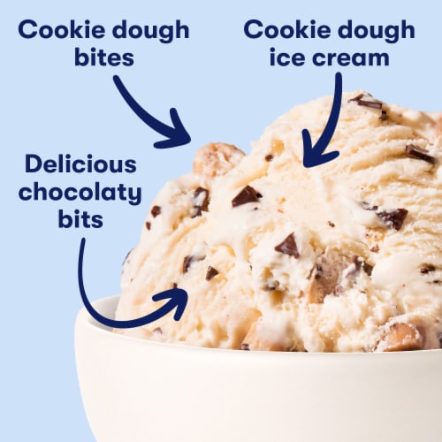 Tillamook Chocolate Chip Cookie Dough Ice Cream Tub Perspective: back