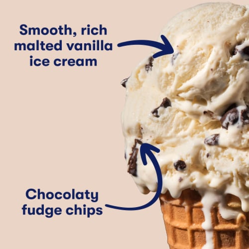 Tillamook Malted Moo Shake Ice Cream Tub Perspective: back