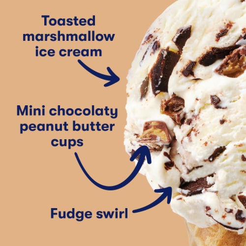 Tillamook Campfire Peanut Butter Cup Ice Cream Tub Perspective: back
