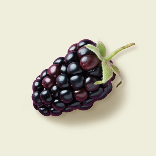Tillamook Low Fat Oregon Marionberry Good & Creamy Yogurt Perspective: back
