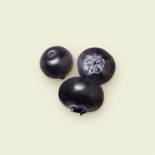 Tillamook Low Fat Mountain Huckleberry Good & Creamy Yogurt Perspective: back