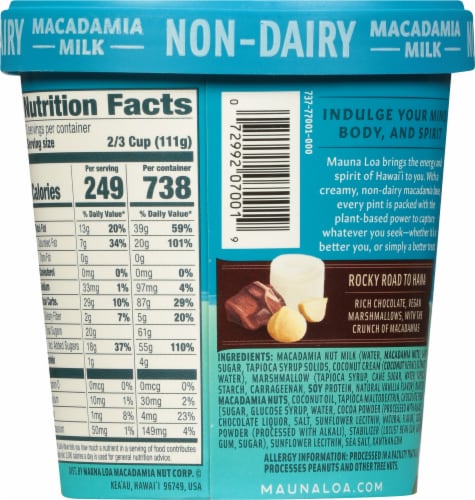 Mauna Loa Macadamia Milk Rocky Road to Hana Dairy Free Frozen Dessert Perspective: back