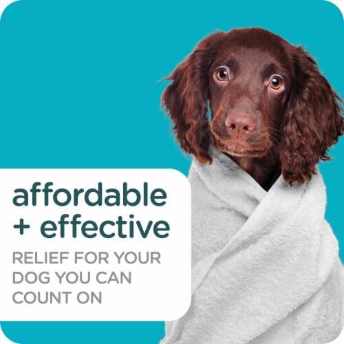 Sergeant's Guardian Pro Flea & Tick Shampoo for Dogs Perspective: back