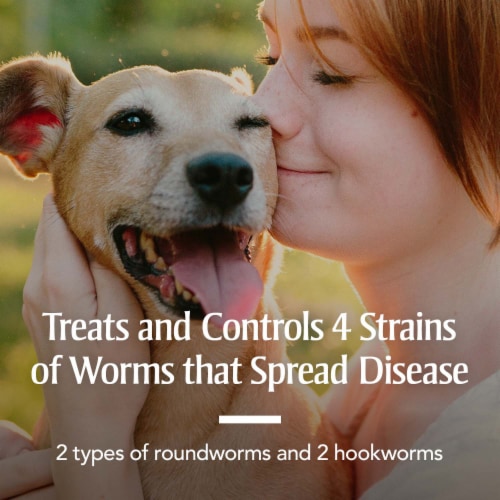 PETARMOR Sure Shot 2X Liquid Wormer for Dogs and Puppies Perspective: back