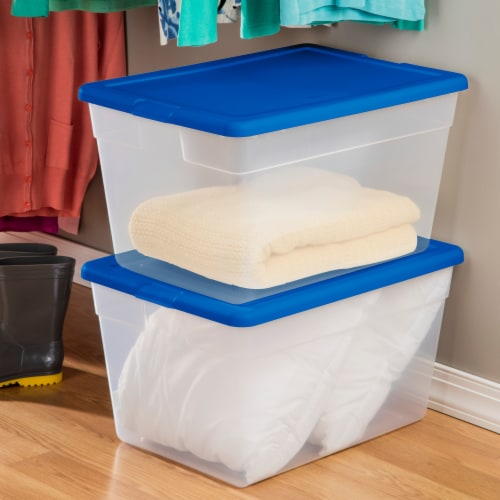 Sterilite Storage Box - Blue Morpho Perspective: back
