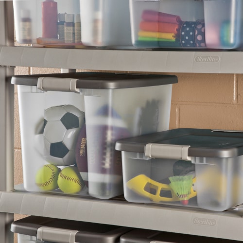 Sterilite shelf tote cheap