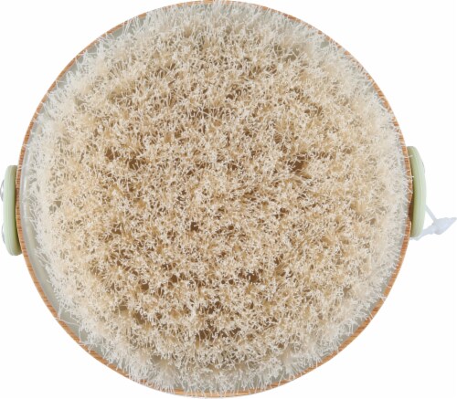 Earth Therapeutics® Drybrush Perspective: back