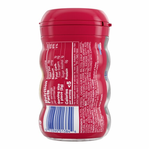 Mentos® Pure Fresh Sugar Free Cinnamon Chewing Gum Perspective: back
