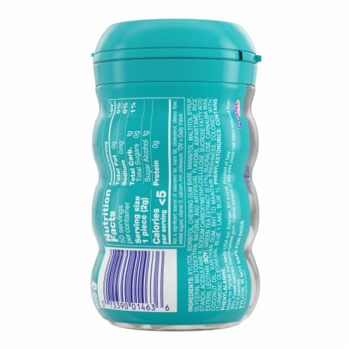 Mentos® Pure Fresh Sugar Free Wintergreen Chewing Gum Perspective: back