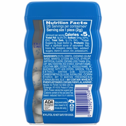 Mentos® Sugar-Free Fresh Mint with Xylitol Gum Perspective: back