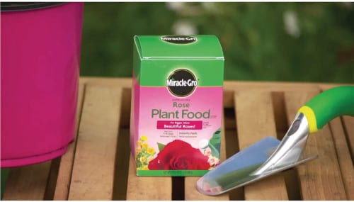 Miracle-Gro® Rose Plant Food Perspective: back