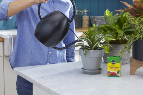 Miracle-Gro All Purpose Plant Food Perspective: back