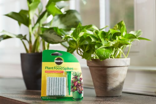 Miracle-Gro Indoor Plant Food Spikes Perspective: back