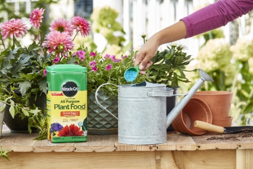 Miracle-Gro® All Purpose Plant Food Perspective: back