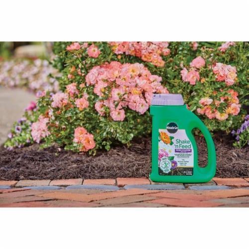 Miracle-Gro® Shake 'n Feed® Rose & Bloom Dry Plant Food Perspective: back