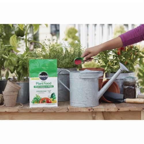 Miracle-Gro 2 Lb. 18-18-21 Vegetable & Herb Dry Plant Food 3003710 Perspective: back