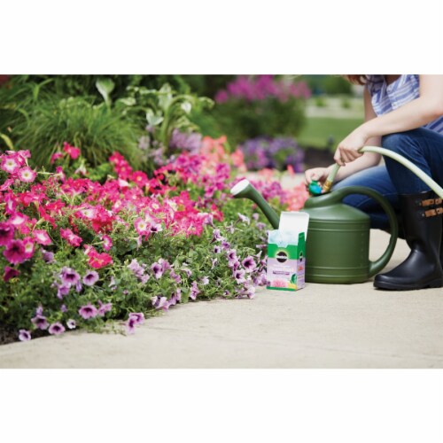Miracle-Gro Bloom Booster 1 Lb. 10-52-10 Flower Dry Plant Food 2360011 Perspective: back