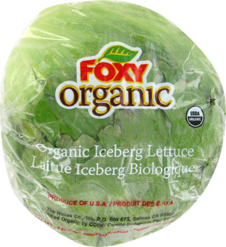 Organic Lettuce Iceberg: Crisp, Fresh, and Healthy Choices