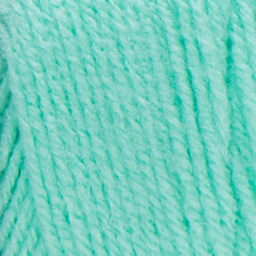 Red Heart Super Saver Yarn - Minty Perspective: back