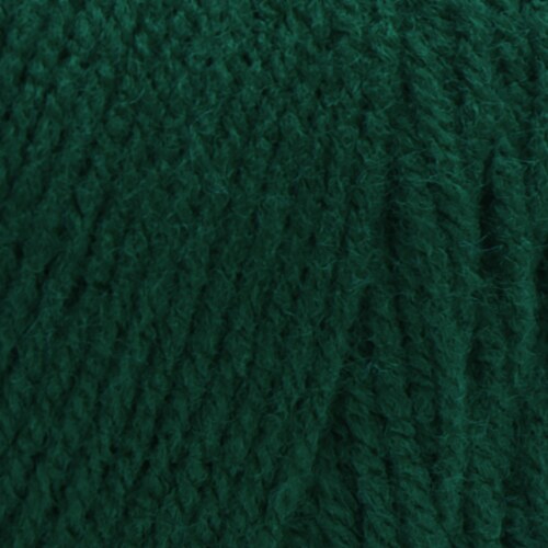 Red Heart® Super Saver® Yarn - Paddy Green Perspective: back