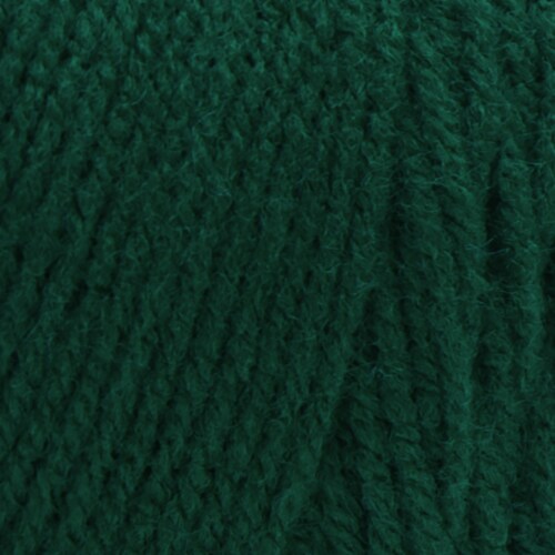 Red Heart® Super Saver® Yarn - Frosty Green, 364 yd / 7 oz - Fred Meyer