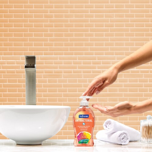 Softsoap Antibacterial Liquid Hand Soap Pump Crisp Clean Perspective: back