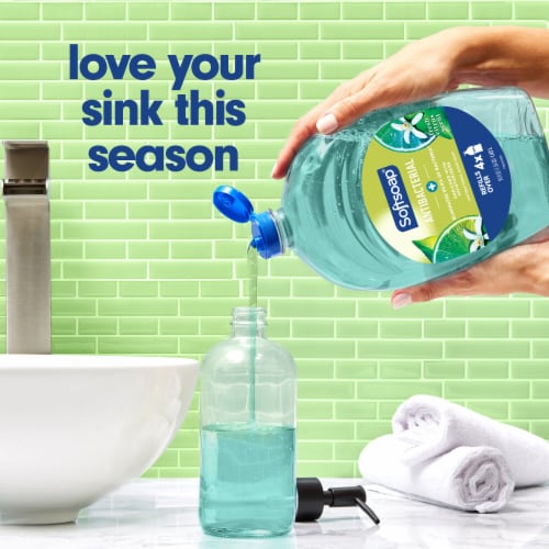 Softsoap Liquid Hand Soap Refill Antibacterial Fresh Citrus Scent Perspective: back